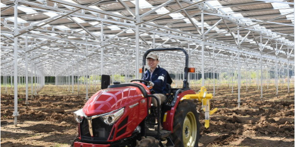 FULLTECH fazenda embaixo paineis