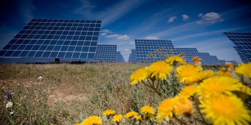 FULLTECH Painéis e flores