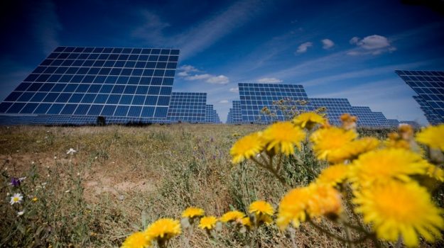 FULLTECH Painéis e flores